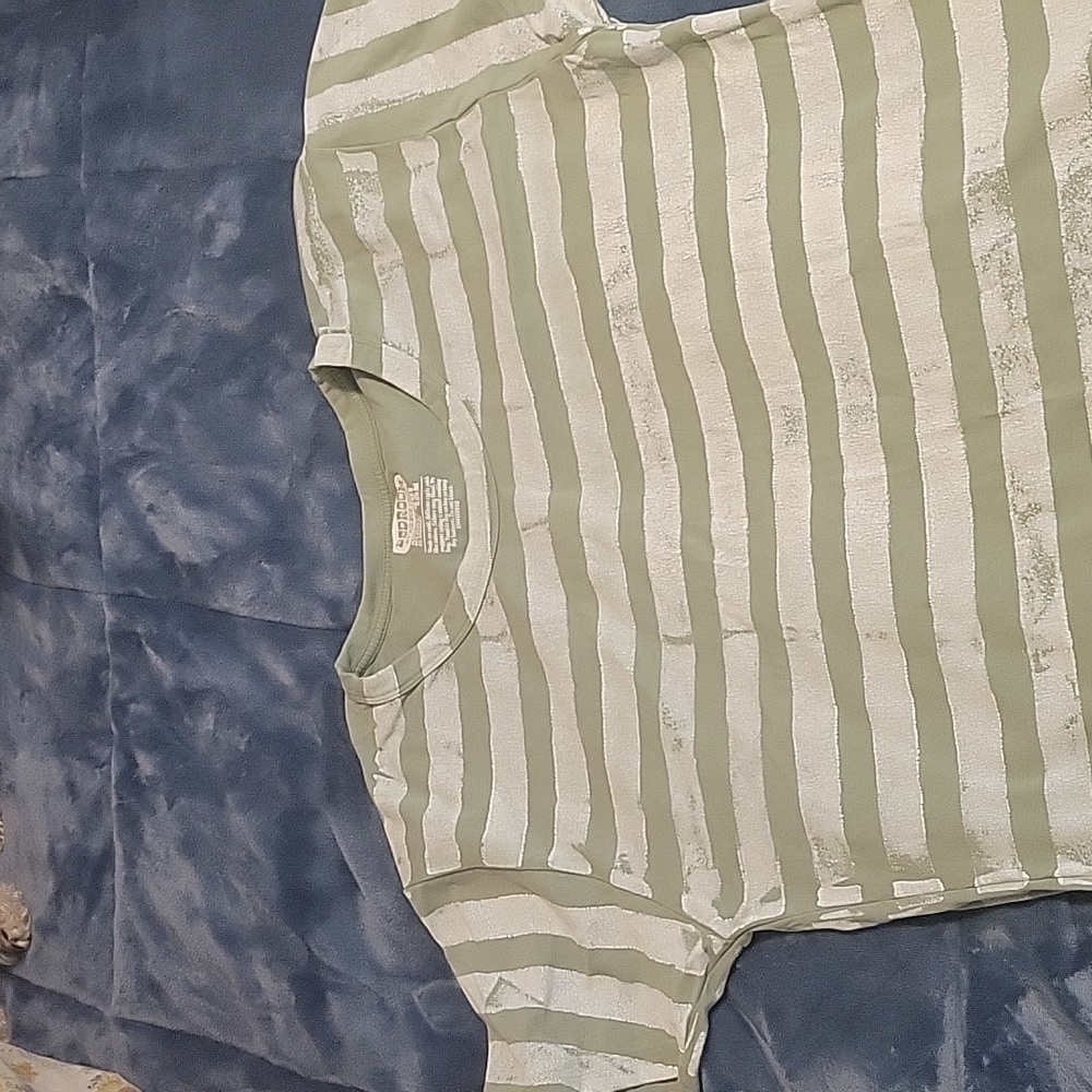 Big Bud Press Sage Striped Baby Tee 4x